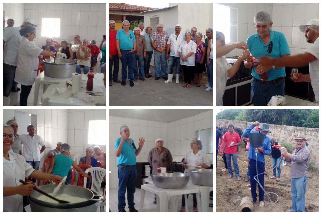 Em São José de Princesa, cerca de 20 produtores rurais fazem curso de boa prática de produção de queijo