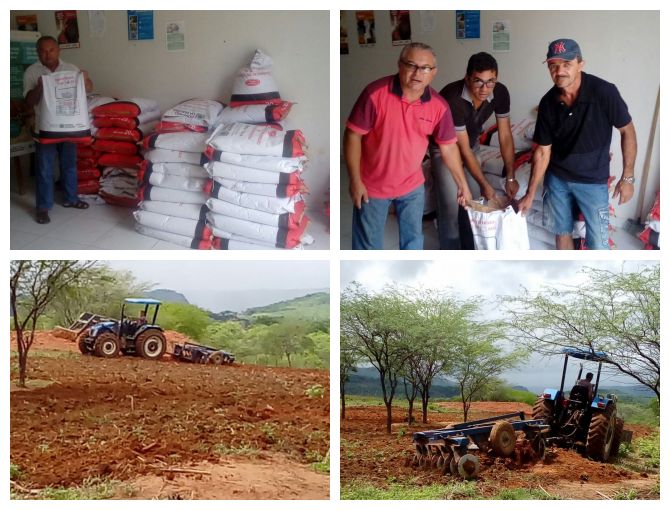 Prefeitura de São José de Princesa beneficia 300 agricultores com distribuição de sementes de milho e feijão 