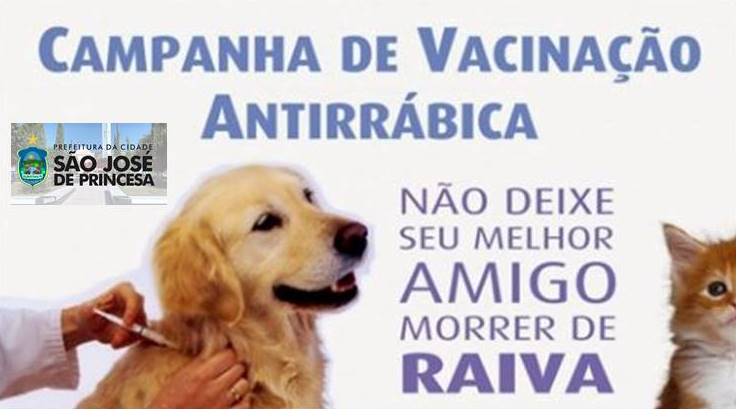 Dia D da vacinação antirrábica acontece neste sábado em São José de Princesa